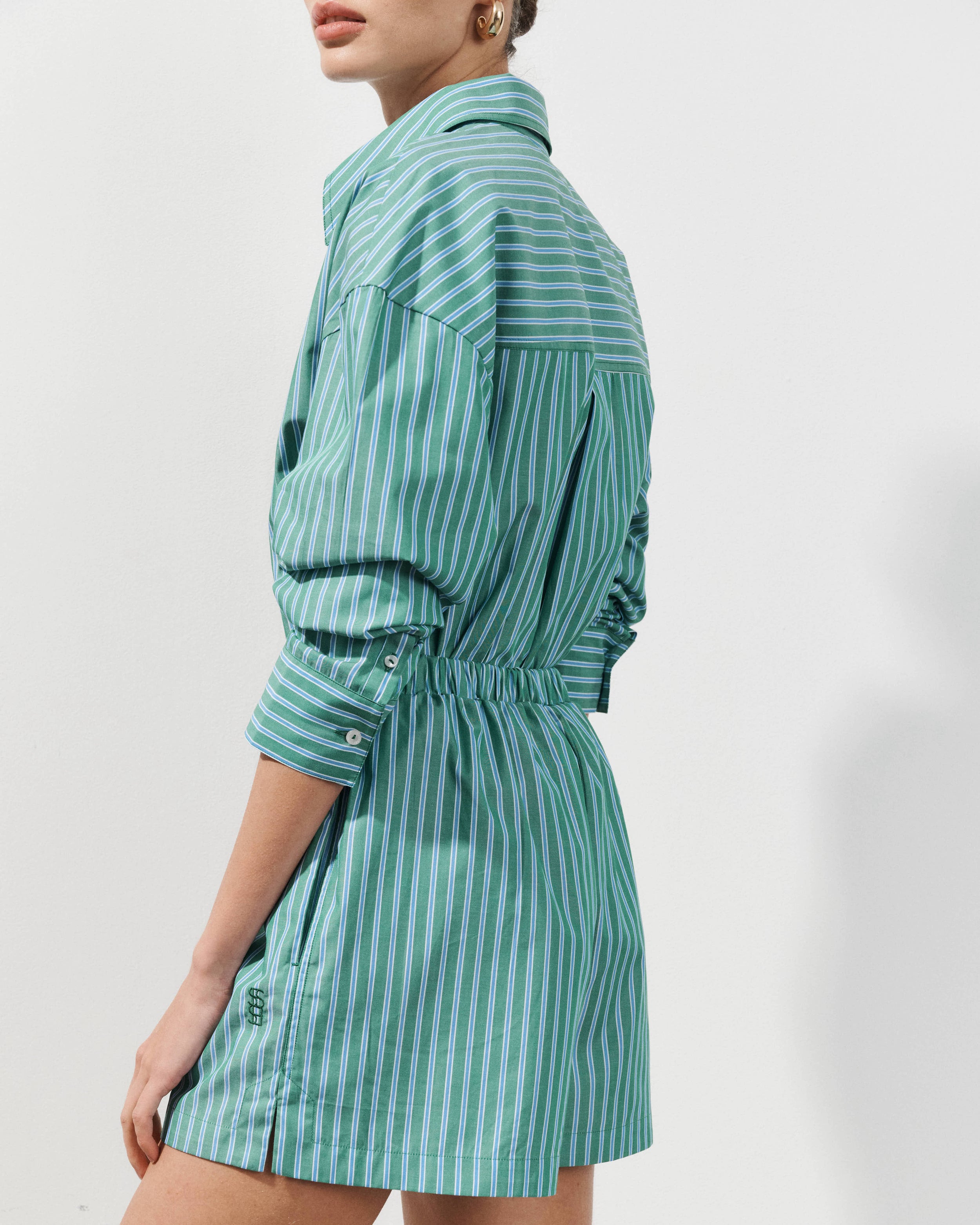 Alex Blue and Green Striped Cotton Poplin Shorts